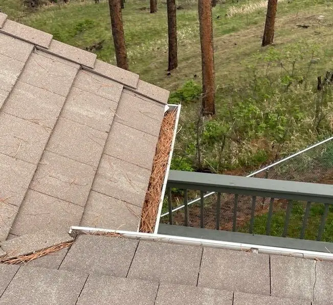 Corner of roof with gutters full of pine needles