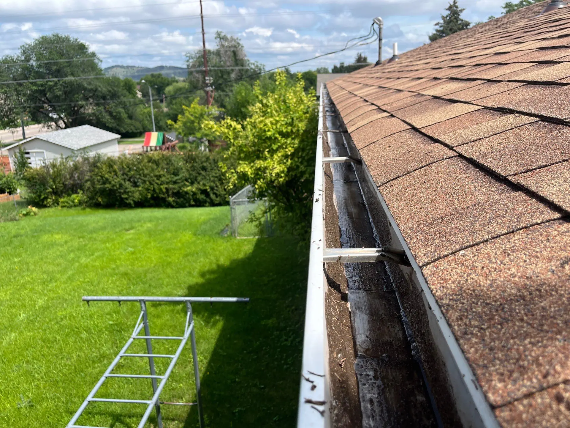 Gutters cleared of debris and plants thanks to Superior Siding