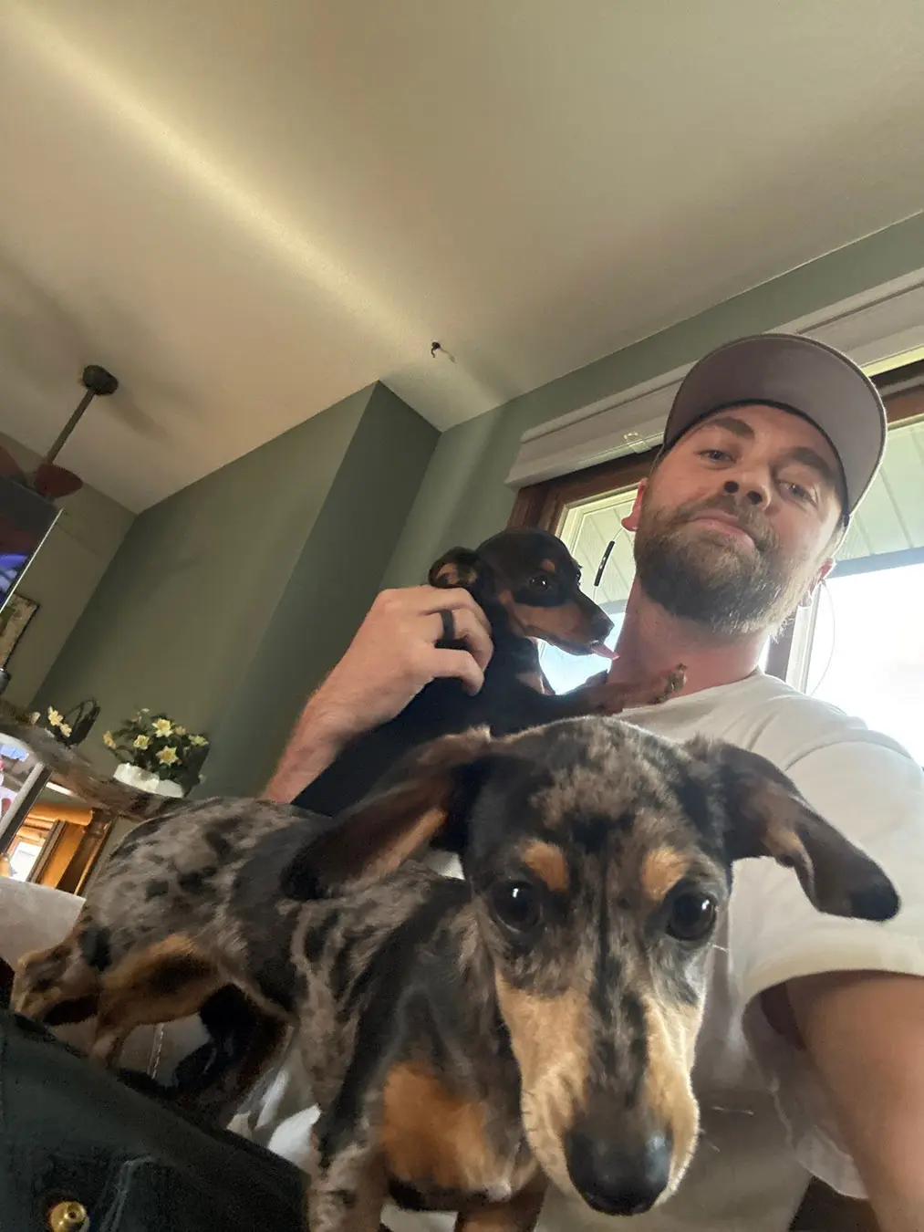 evan with dogs