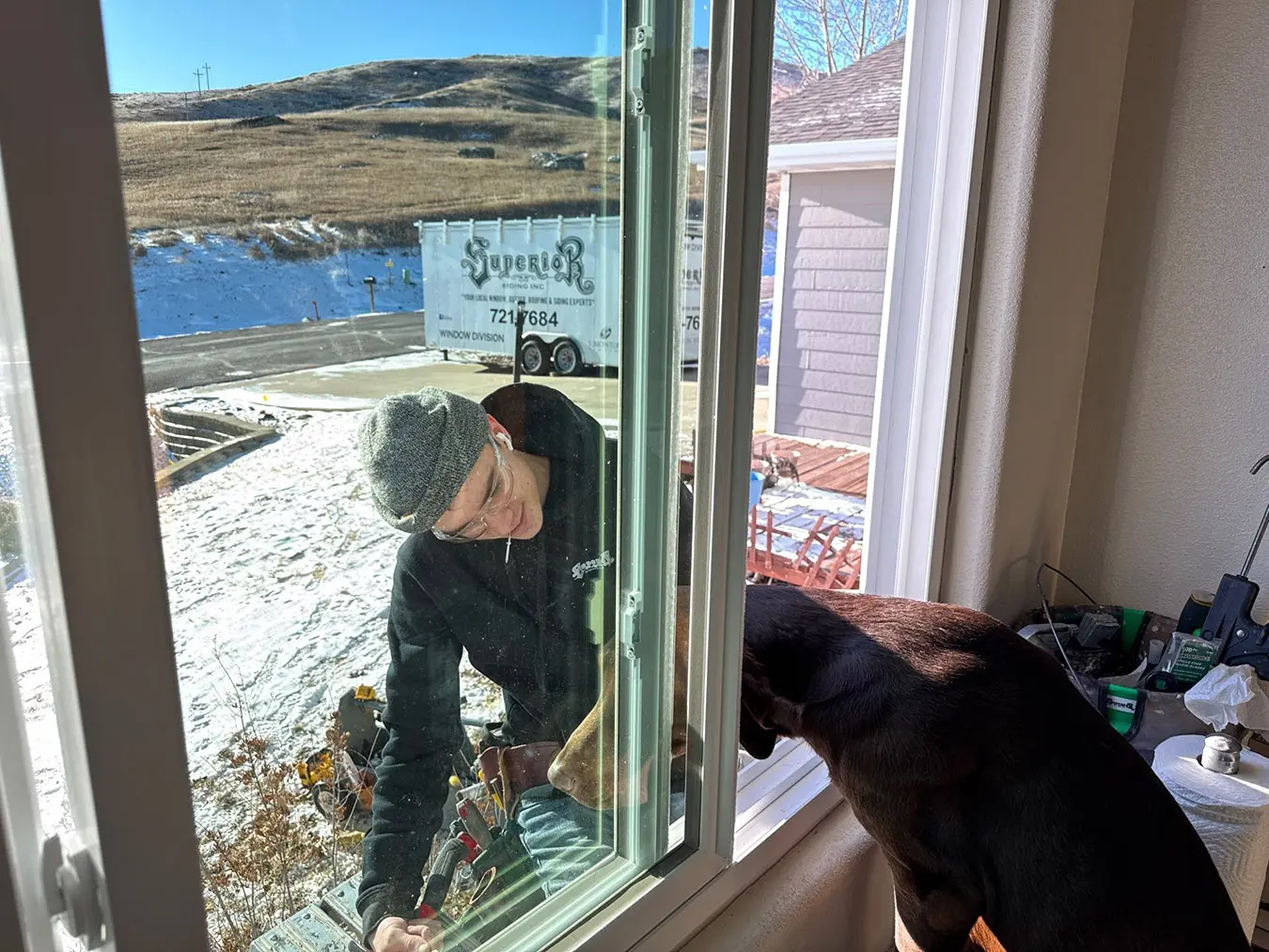 window and petting dog