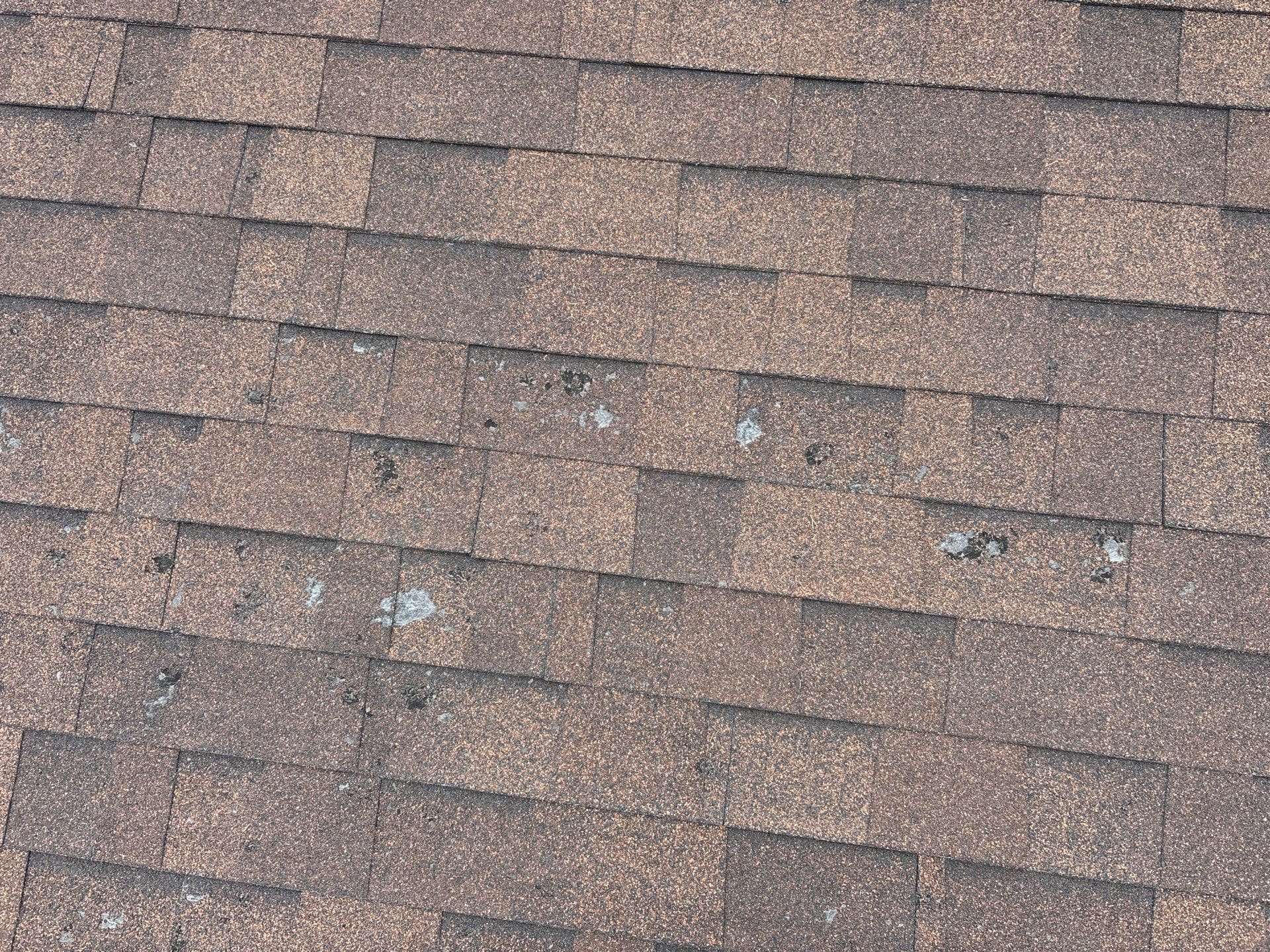 Damaged shingles on roof