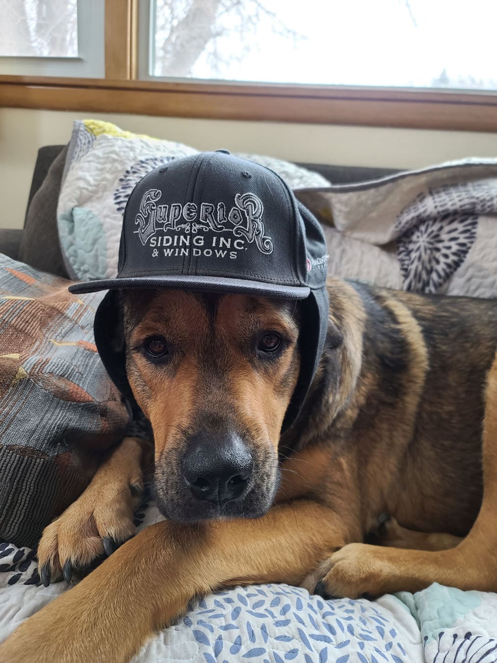 Superior Siding Best Employee